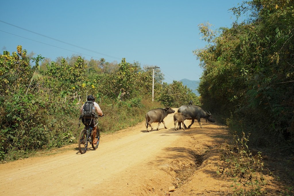 The Ultimate Luang Prabang Cycling Holiday by E-Bike: Slow Travel in the Heart of Laos